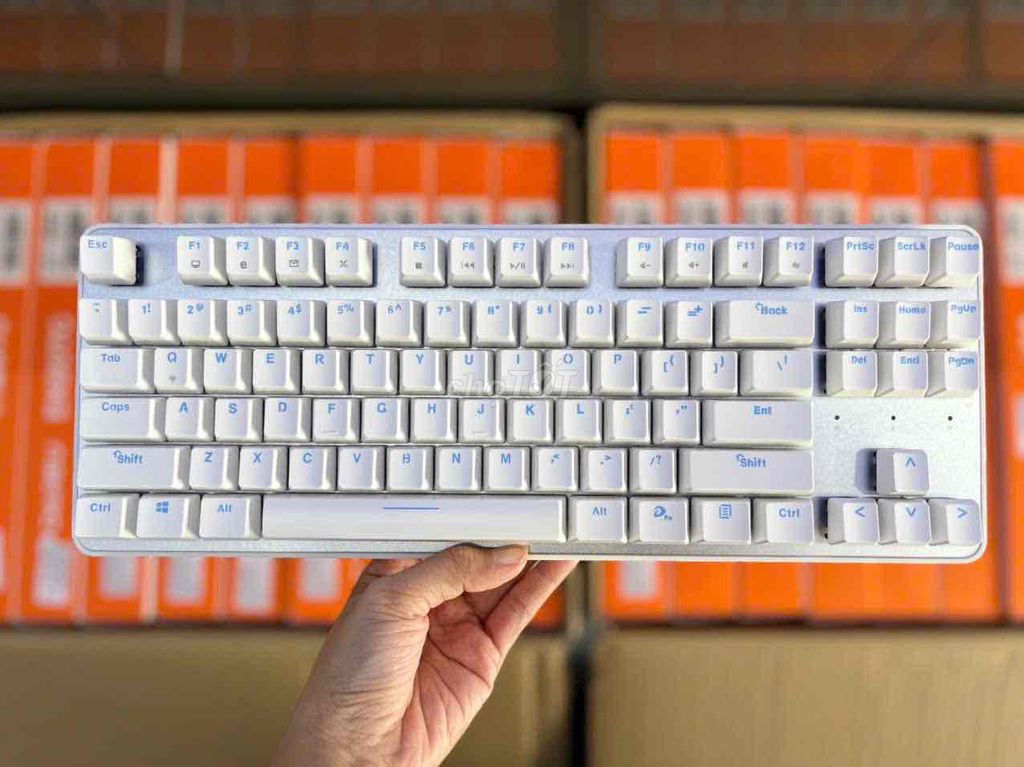 Bàn phím cơ DareU EK807G White | Không dây, Red. Mua bán Phụ kiện (Màn hình, Chuột...) tại Thành phố Vĩnh Long Vĩnh Long được đăng bởi Hữu Tài Computer hình 1