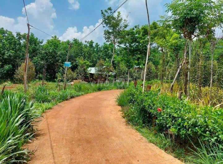 KO CÓ NGƯỜI CHĂM SÓC, CẦN BÁN GẤP NHÀ VƯỜN