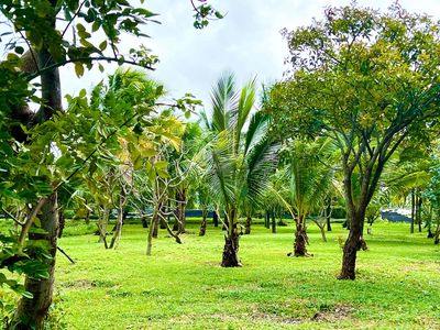 Rất hiếm: Bán 152m2 đất V3 FPT view công viên ngang 8m - BĐS Rồng Đỏ c