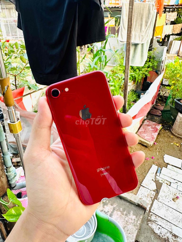 Apple iPhone 8 64GB Đỏ Đã sử dụng. Mua bán Điện thoại tại Quận 12 Tp Hồ Chí Minh được đăng bởi Nguyễn Văn Vang hình 1