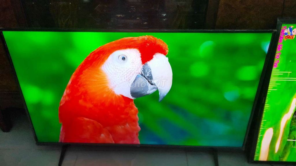 smart tv TCL50IN 4k giọng nói belutooth youtube. Mua bán Tivi, Âm thanh tại Huyện Bình Chánh Tp Hồ Chí Minh được đăng bởi Pham vinh hình 1