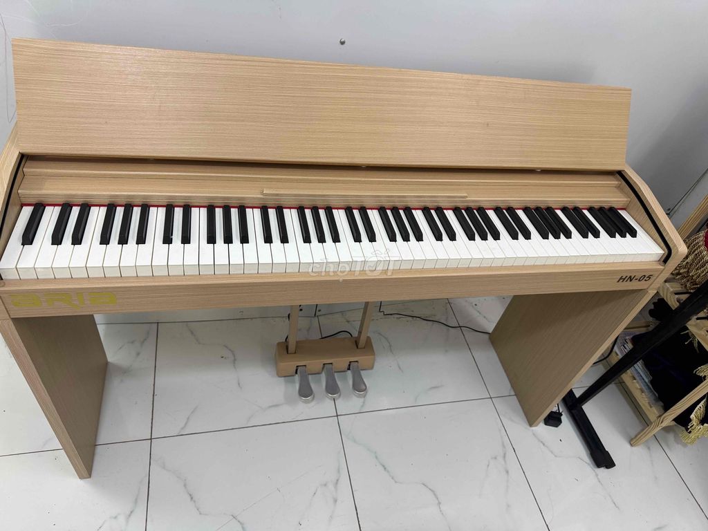 Đàn Piano điện Arria HN05 Vàng gỗ new 100%. Mua bán Nhạc cụ tại Quận Tân Bình Tp Hồ Chí Minh được đăng bởi Kho piano cơ uprigh Nhật Bản hình 1