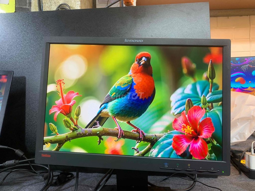 MÀN HÌNH LENOVO 19IN HD+ ĐẸP MÊ GIÁ RẺ