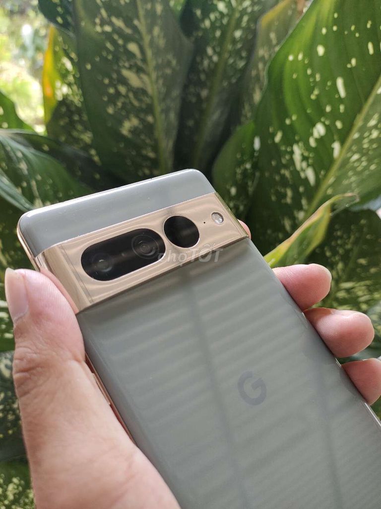 Google Pixel 7 Pro 128GB Xám 98%. Mua bán Điện thoại tại Huyện Tháp Mười Đồng Tháp được đăng bởi NGON hình 1