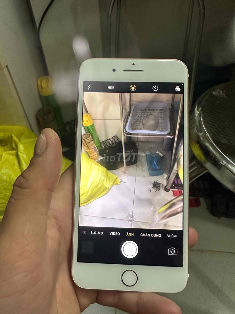 Apple iPhone 7 Plus 128GB Hồng. Mua bán Điện thoại tại Quận 6 Tp Hồ Chí Minh được đăng bởi Chưa Đặt Tên hình 1