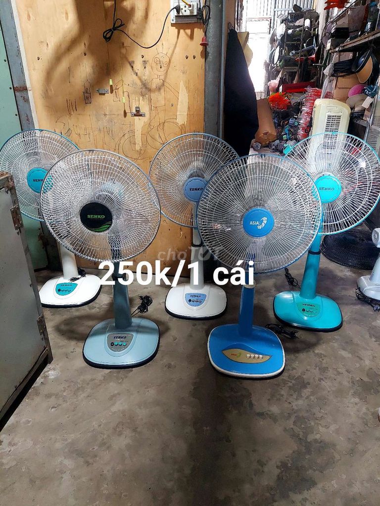 Quạt đứng Senko 3 tốc độ Xanh, Trắng. Mua bán Quạt tại Quận Cẩm Lệ Đà Nẵng được đăng bởi Lê hiền hình 1