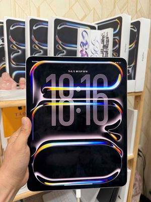 iPAD PRO 13in M4 Siver 256G + 5G P100 S40L BH04/26