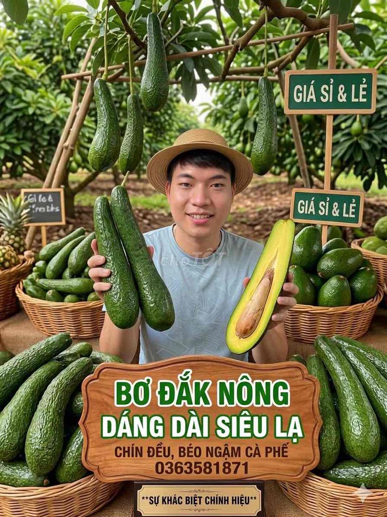 Bơ 034 Đắk Nông. Mua bán Đồ ăn, thực phẩm và các loại khác tại Quận 10 Tp Hồ Chí Minh được đăng bởi Xuân Anh hình 1