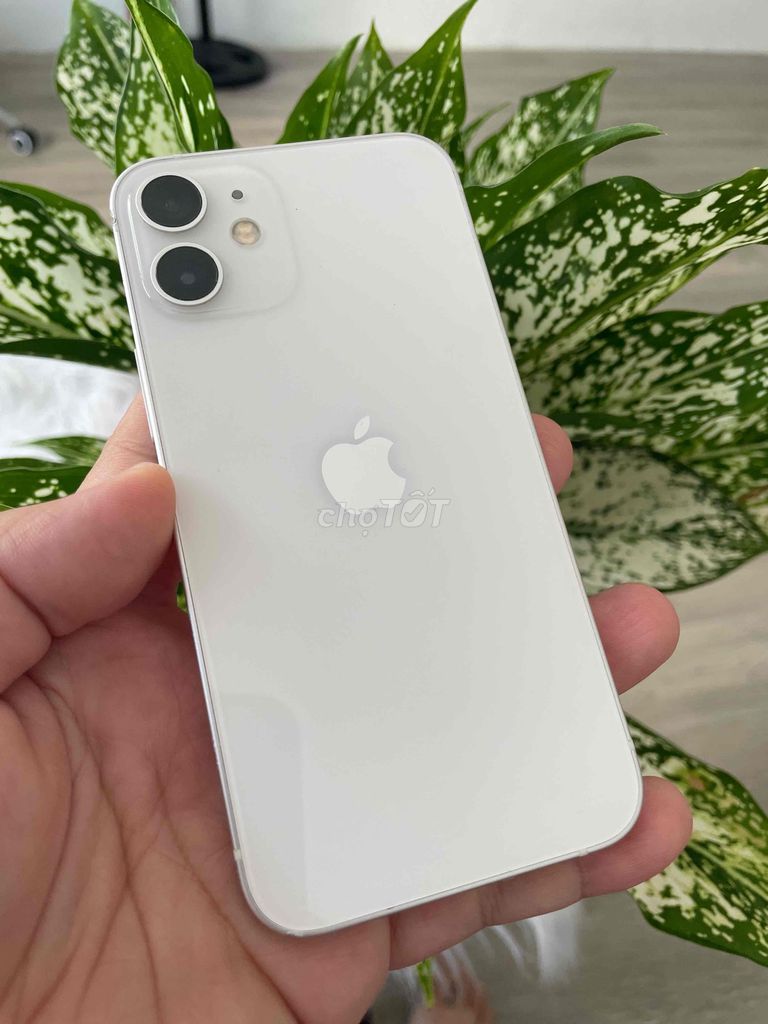 iPhone 12 Mini 64Gb Quốc tế zin