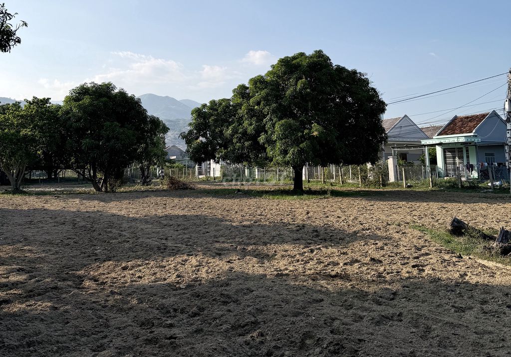 BÁN ĐẤT 3.150M² (1.800M² THỔ CƯ), MẶT TIỀN 82M - KKT VÂN PHONG