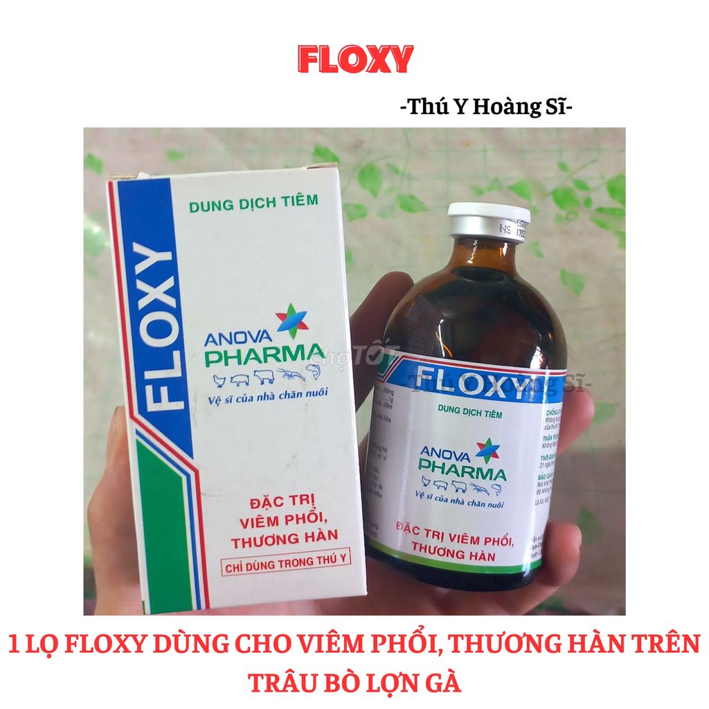 FLOXY trị viêm phổi thương hàn dùng trong thú y