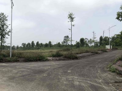 Plot of land 199.5 m² · Đường tỉnh 411C