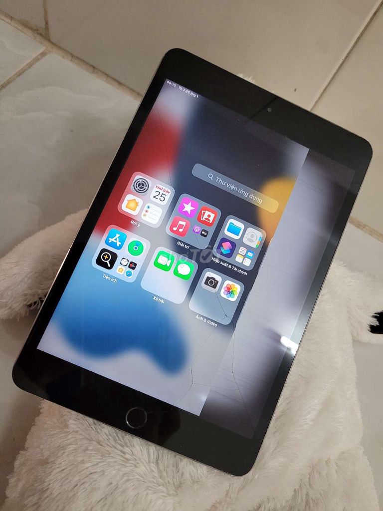 Ipad Mini 4 16g giá tốt