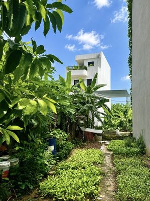ĐẤT HƯỚNG NAM – NGỌC ĐỘNG, BÁT TRÀNG (GIA LÂM CŨ) 🏡