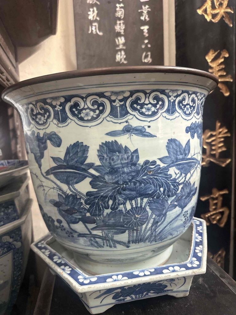 Chậu cảnh Gốm sứ Cổ điển Xanh trắng. Mua bán Cây cảnh, đồ trang trí tại Quận Đống Đa Hà Nội được đăng bởi ba duy hình 1