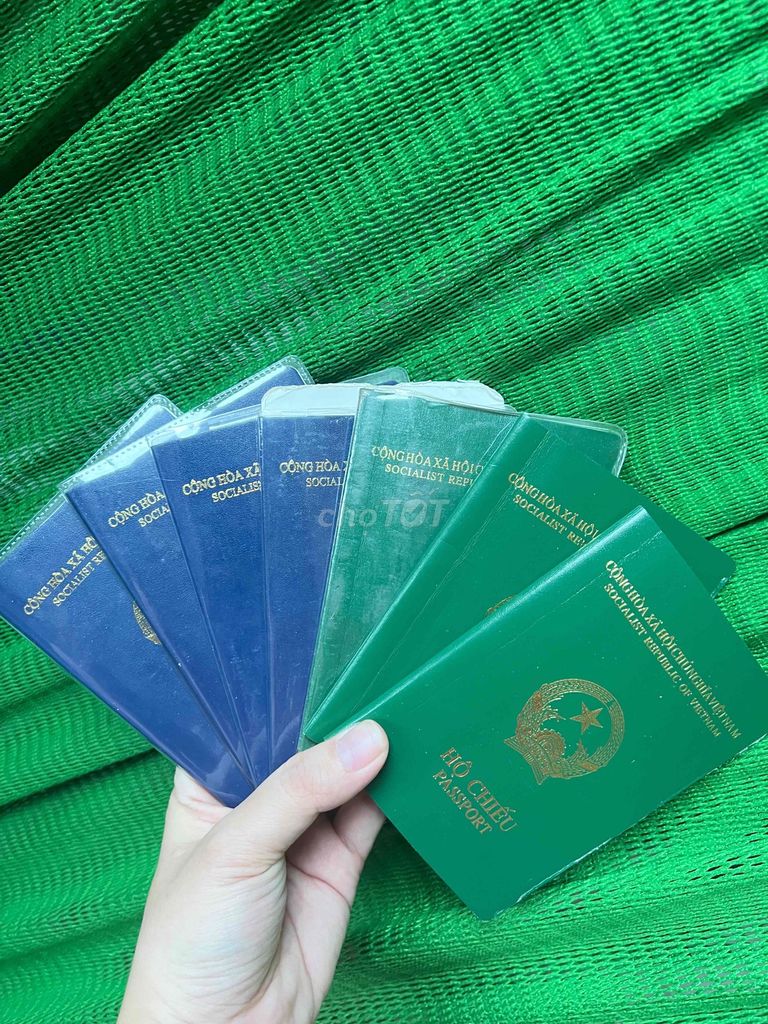 Dịch vụ làm hộ chiếu, CCCD, GPLX. Dịch vụ tại Quận Gò Vấp Tp Hồ Chí Minh được đăng bởi cúc lê hình 1