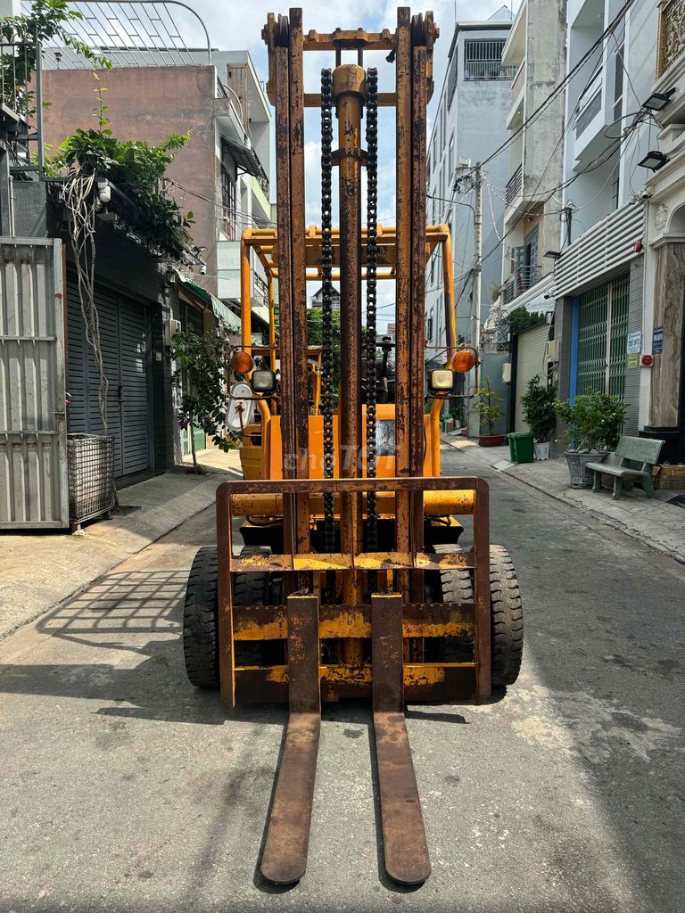 Ảnh số 5