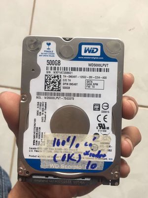 Ổ cứng laptop 500GB  Western của Mỹ hoạt động tốt. Mua bán Linh kiện (RAM, Card...) tại Huyện Mỹ Xuyên Sóc Trăng được đăng bởi mua bán uy tín 