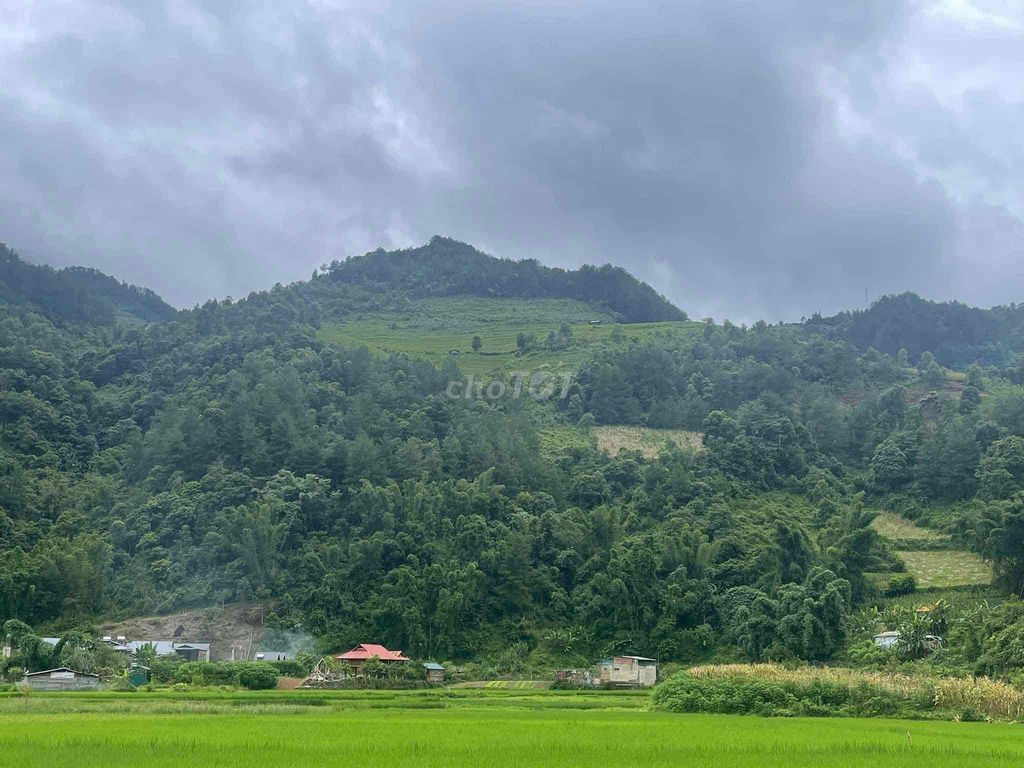 Nhà phố Trương Định, Hoàng Mai, xây mới, gần ô tô, ở yên tĩnh,