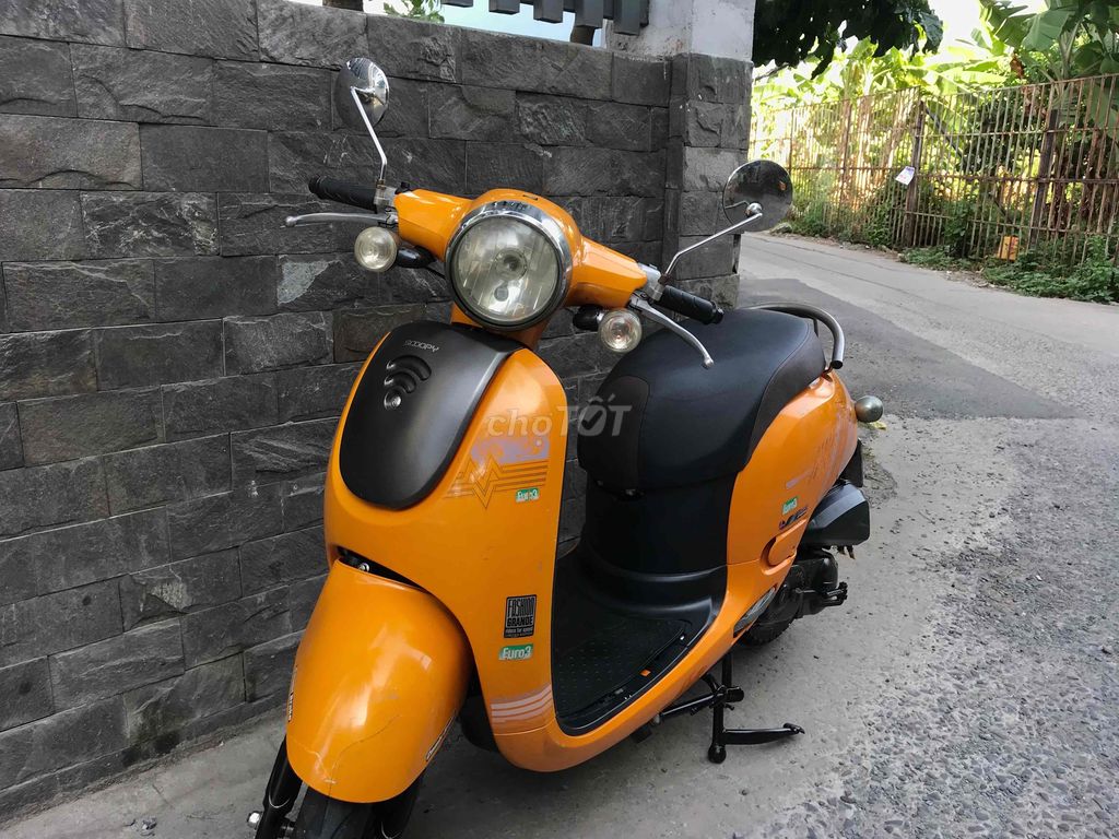 Tay ga 50cc 2020