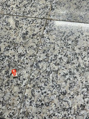HỮU DUYÊN TÌM NGƯỜI THUÊ NHÀ (giữ nhà nghỉ) ngay mặt tiền quốc lộ. Cho thuê phòng trọ tại Huyện Thạnh Phú Bến Tre được đăng bởi Trịnh  Ngọc