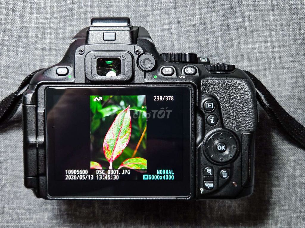 Máy ảnh Nikon D5600 Đen. Mua bán Máy ảnh, Máy quay tại Quận 10 Tp Hồ Chí Minh được đăng bởi Đức Trí  hình 1