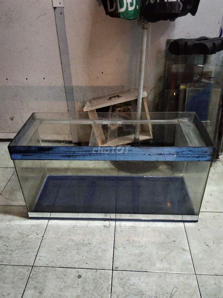 Bể cá 1m x 40cm x 50cm thành 5 đáy 8 . Mua bán Phụ kiện, Thức ăn, Dịch vụ tại Quận 8 Tp Hồ Chí Minh được đăng bởi Núi hình 1