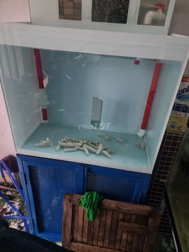 Bể cá kính 60x50x55 cm lọc đầu tàu. Mua bán Phụ kiện, Thức ăn, Dịch vụ tại Thành phố Thủ Đức Tp Hồ Chí Minh được đăng bởi Bố em Mèo hình 1