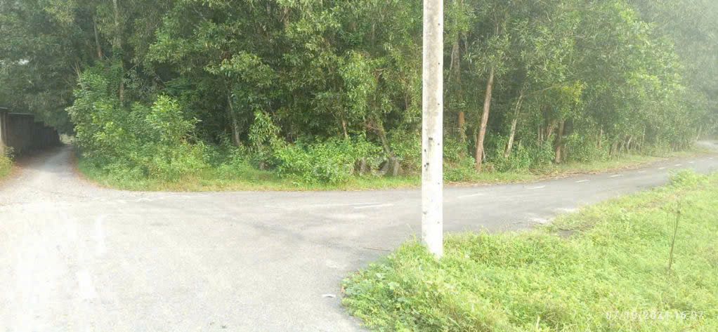 Bán Lô Đất  Sau KCN Long Đức,H. Long Thành, 3500m2, Giá 5Ty8 TL. Mua bán đất tại Huyện Long Thành Đồng Nai được đăng bởi Trần Thái CTA hình 1
