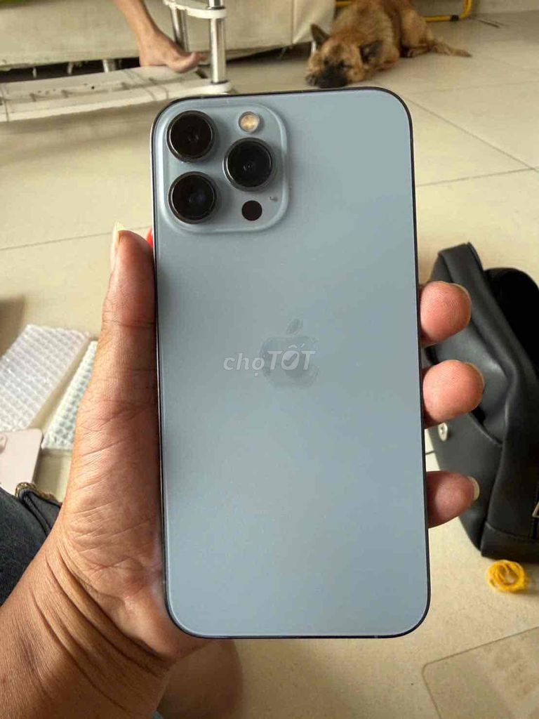 Apple iPhone 13 Pro Max 256GB Xanh. Mua bán Điện thoại tại Thành phố Thủ Dầu Một Bình Dương được đăng bởi Đt củ giá rẻ phú chánh tdm hình 1