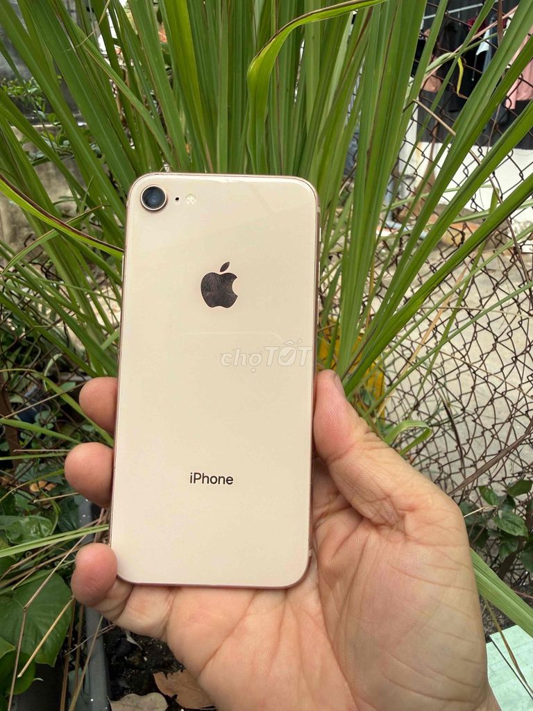iPhone 8G 64GB Vàng đồng. Mua bán Điện thoại tại Huyện Hóc Môn Tp Hồ Chí Minh được đăng bởi Sonle hình 1