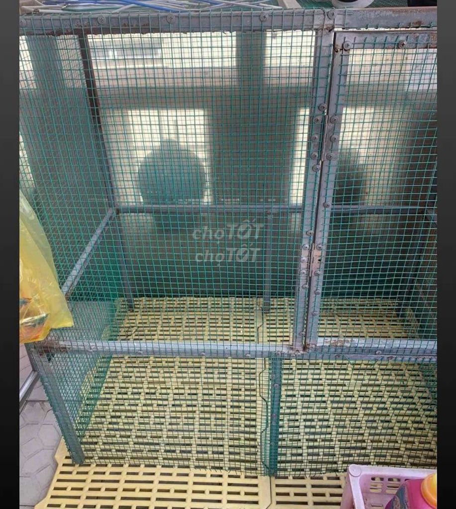 Lồng thú cưng to bự. Mua bán Phụ kiện, Thức ăn, Dịch vụ tại Quận Tân Bình Tp Hồ Chí Minh được đăng bởi Bbii hình 1