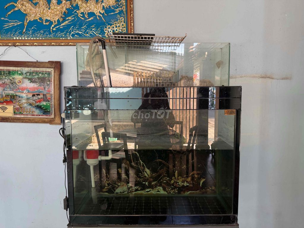 Hồ cá Kính 1m80x50. Mua bán Phụ kiện, Thức ăn, Dịch vụ tại Huyện Cần Giuộc Long An được đăng bởi Nhat Tran hình 1