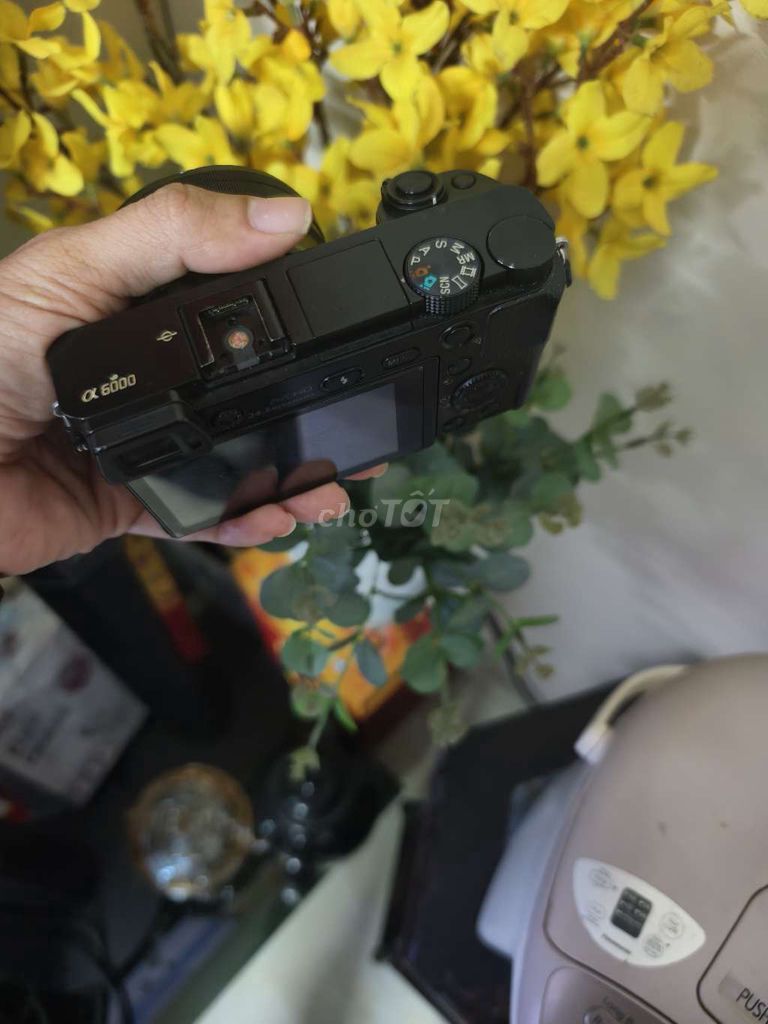 Máy ảnh Sony A6000 Đen. Mua bán Máy ảnh, Máy quay tại Thành phố Phủ Lý Hà Nam được đăng bởi hoàn hình 1