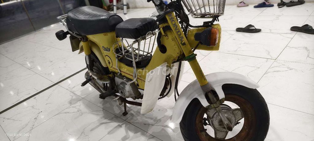 Honda Chaly 81, японское золото, до 50 куб. см