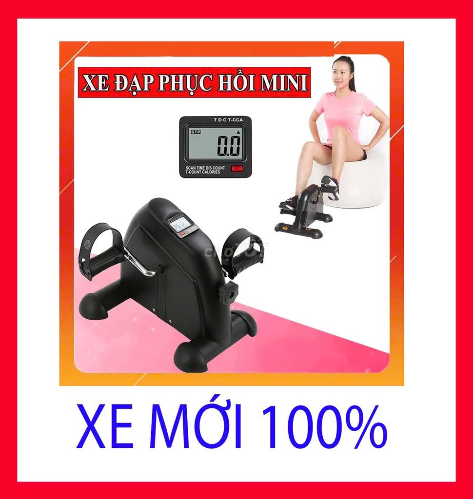 XE TẬP THỂ DỤC MINI VẬT LÝ TRỊ LIỆU