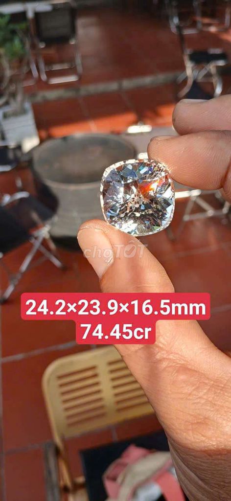 Topaz tóc lâm đồng