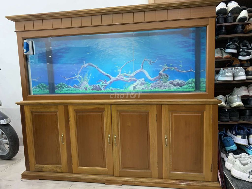 Bể cá cảnh Gỗ dổi Kính cường lực 1.7m. Mua bán Phụ kiện, Thức ăn, Dịch vụ tại Quận Lê Chân Hải Phòng được đăng bởi Lưu Giữ Kỷ Niệm hình 1