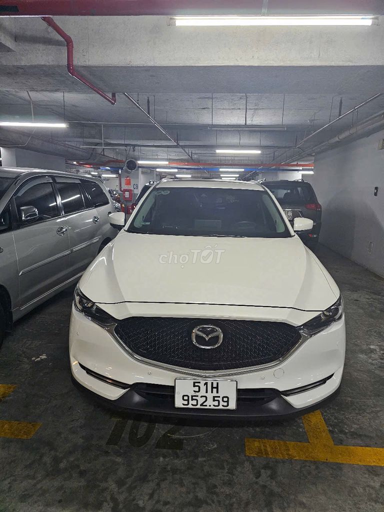 Ảnh số 7