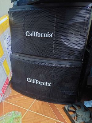 Loa California 20cm Đen Nguyên zin. Mua bán Tivi, Âm thanh tại Thành phố Pleiku Gia Lai được đăng bởi ĐẠT
