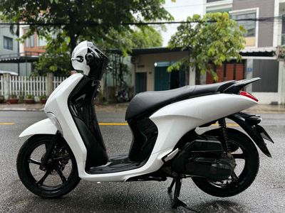 Janus 2017 Trắng B.số 43 Góp đưa trước 2tr