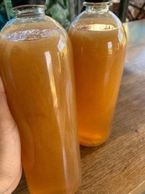 Mật ong rừng nguyên chất Gia Lai Bình Định. Mua bán Đồ ăn, thực phẩm và các loại khác tại Huyện Hoài Ân Bình Định được đăng bởi Kim Trần