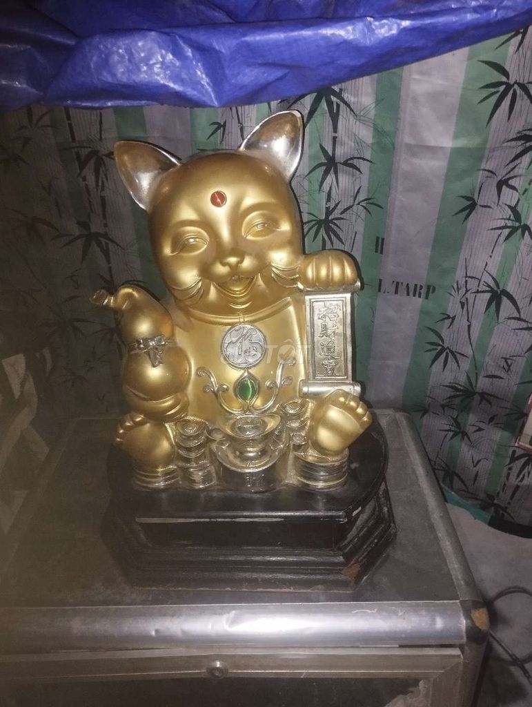 Mèo thần tài Vàng. Mua bán Cây cảnh, đồ trang trí tại Huyện Bình Chánh Tp Hồ Chí Minh được đăng bởi Nguyễn Văn dung  hình 1