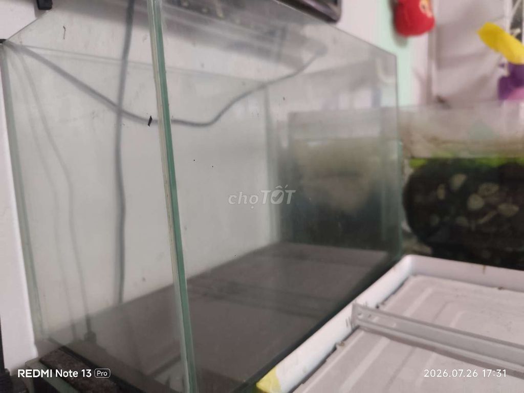 Hồ cá Kính 35x20x25 cm. Mua bán Phụ kiện, Thức ăn, Dịch vụ tại Quận 3 Tp Hồ Chí Minh được đăng bởi HDuy hình 1