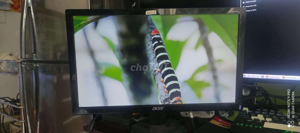 Acer  19inch P196HQV , cổng VGA. Mua bán Phụ kiện (Màn hình, Chuột...) tại Quận Bình Tân Tp Hồ Chí Minh được đăng bởi Linh hình 1