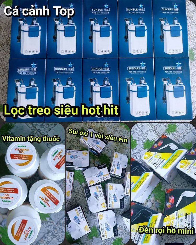 Lọc treo bể cá SunSun YBG-300 Trắng Xanh. Mua bán Phụ kiện, Thức ăn, Dịch vụ tại Quận Liên Chiểu Đà Nẵng được đăng bởi Trương Ngân Hà hình 1