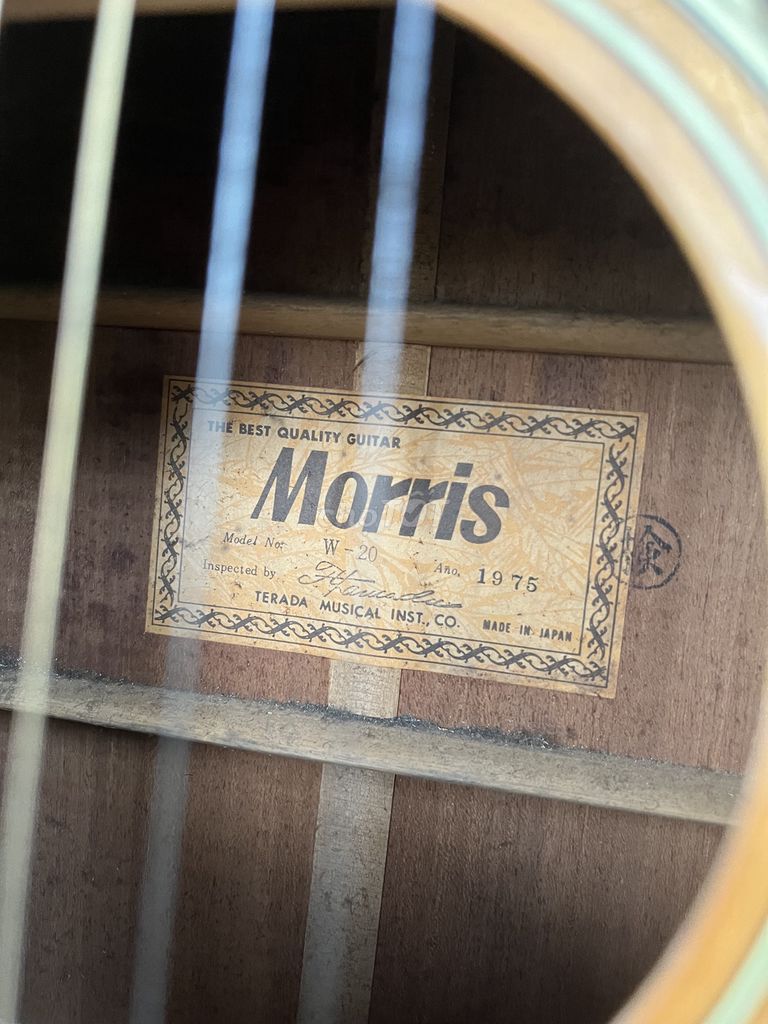 Guitar Morris W20