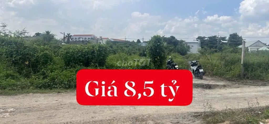 1000m2 thổ cư MT xã Bình Mỹ chỉ 8.5 tỷ Đường Bình Mỹ, Xã Bình Mỹ, Huyện Củ Chi, Tp Hồ Chí Minh Huyện Củ Chi Tp Hồ Chí Minh