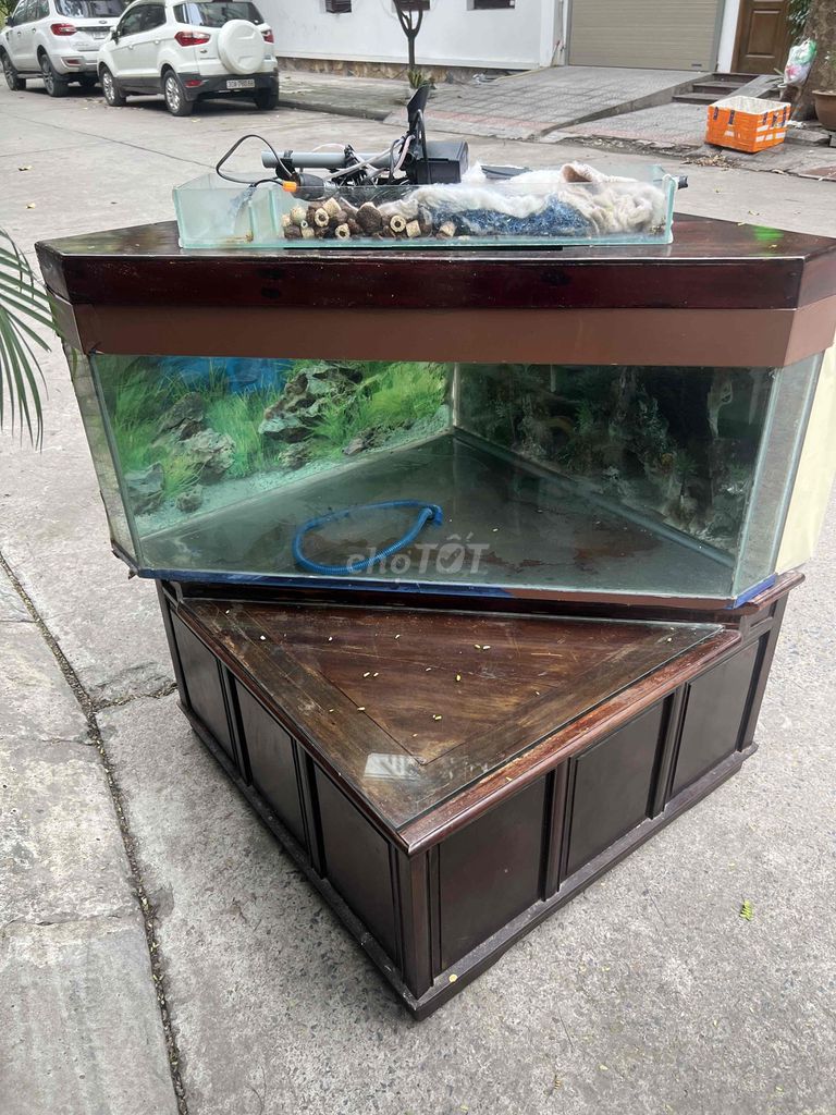 Bể cá cảnh Gỗ gụ, Kính. Mua bán Phụ kiện, Thức ăn, Dịch vụ tại Quận Bắc Từ Liêm Hà Nội được đăng bởi thu hình 1