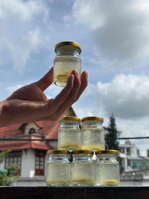 Yến chưng gừng-Bình Định Cồn Chim-Đầm Thị Nại. Mua bán Đồ ăn, thực phẩm và các loại khác tại Thành phố Thủ Đức Tp Hồ Chí Minh được đăng bởi Trần Thị Mỹ Xuyên